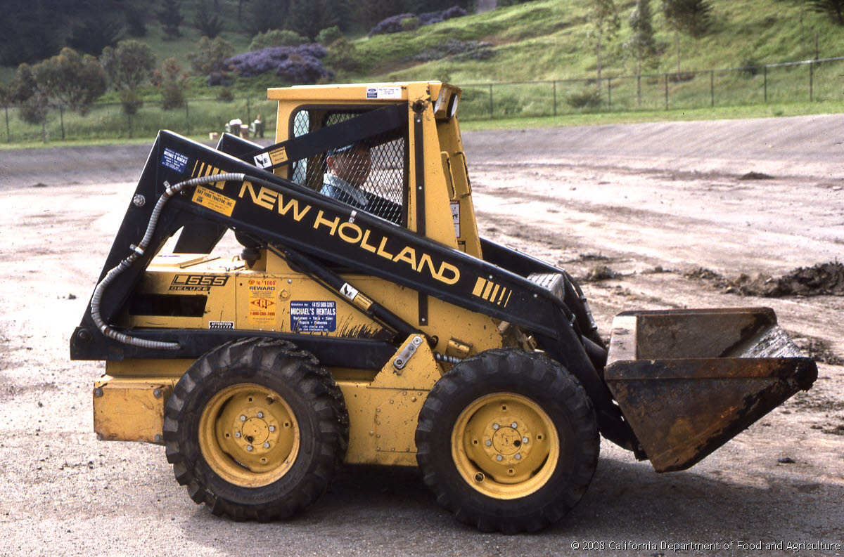 Weed Database Images By California Department Of Food And Agriculture