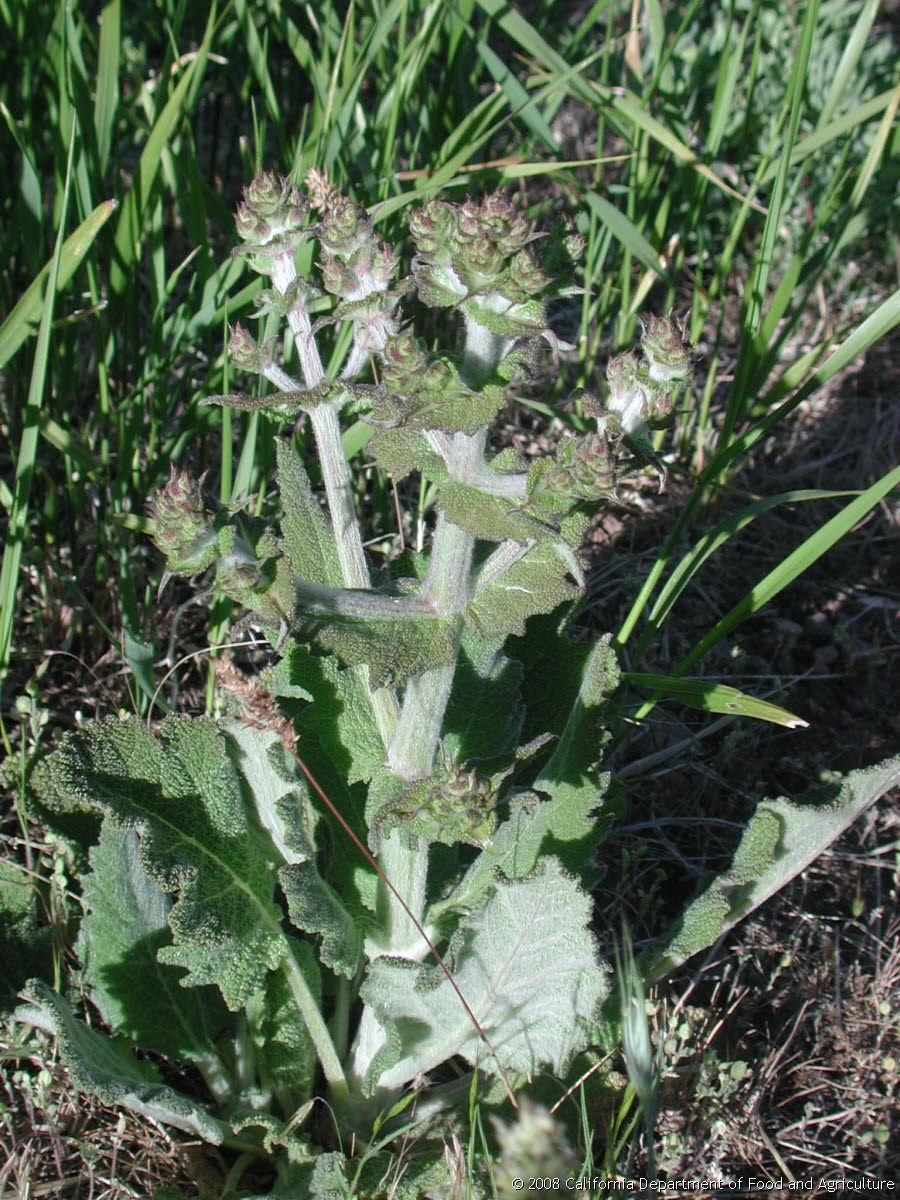 Original size: 1,536 x 2,048 in 0.816 MB
This image: 900 x 1200 in <308.366 KB
{Image.Properties.Date} {Image.Properties.Time}