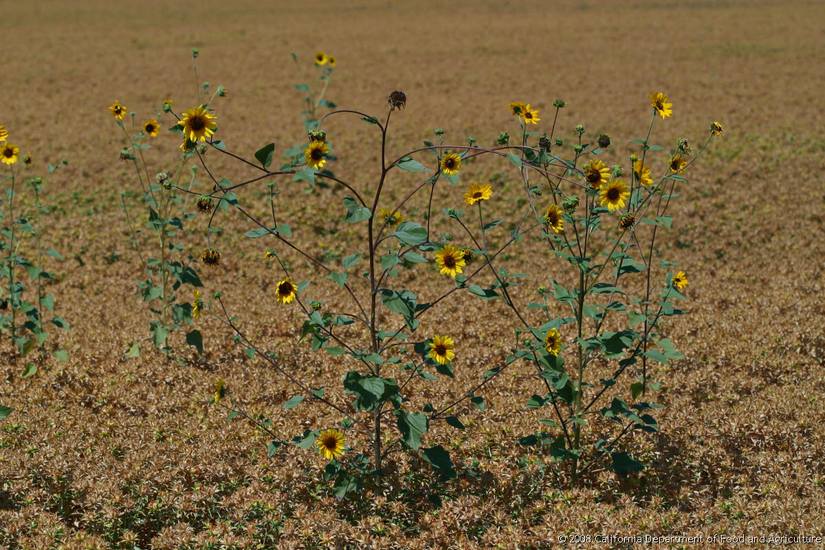 Original size: 3,072 x 2,048 in 3.754 MB
This image: 1200 x 800 in <330.773 KB
Friday, August 23, 2002 12:43:41 PM