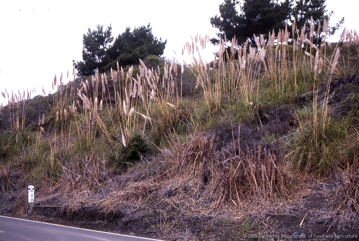 Original size: 3,095 x 2,080 in 1.858 MB
This image: 1200 x 806 in <395.852 KB
{Image.Properties.Date} {Image.Properties.Time}