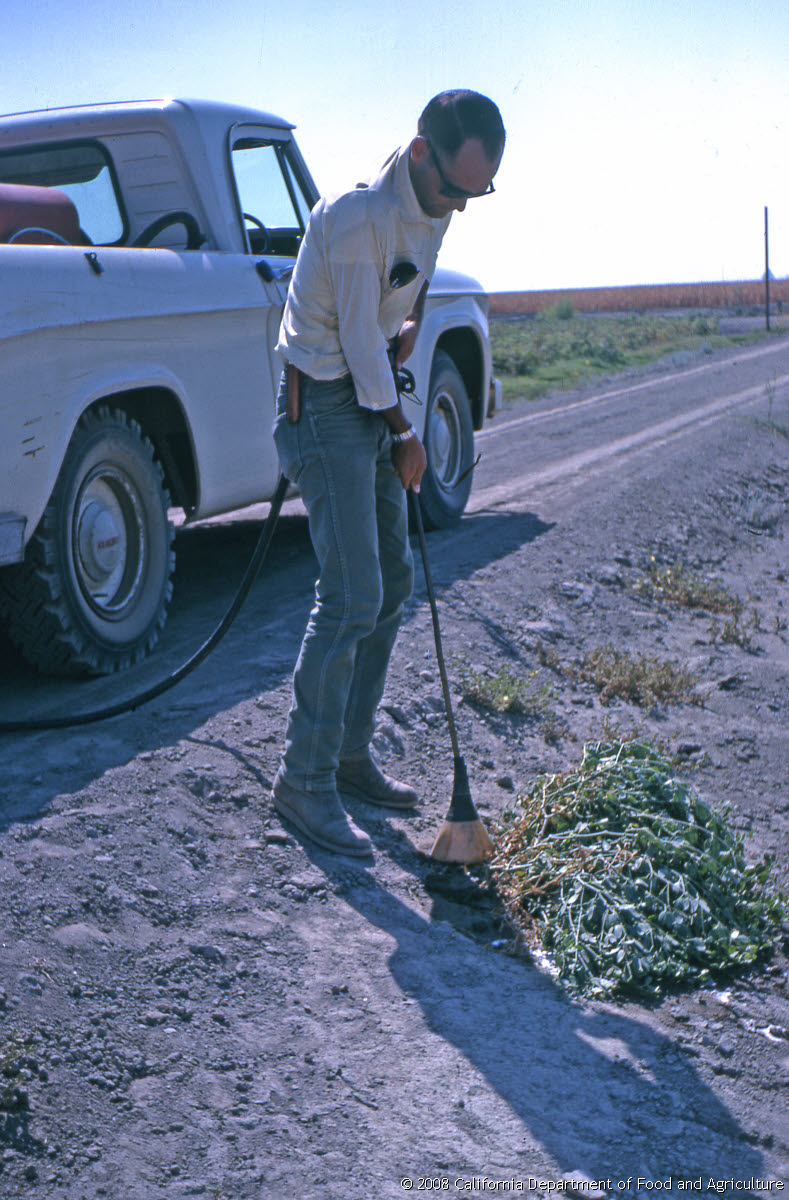 Original size: 2,040 x 3,104 in 18.131 MB
This image: 789 x 1200 in <235.035 KB
{Image.Properties.Date} {Image.Properties.Time}