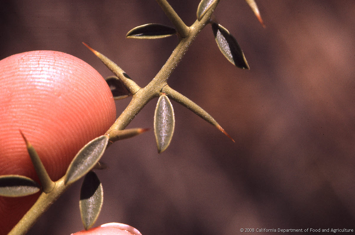 Original size: 3,088 x 2,047 in 18.086 MB
This image: 1200 x 795 in <145.581 KB
{Image.Properties.Date} {Image.Properties.Time}