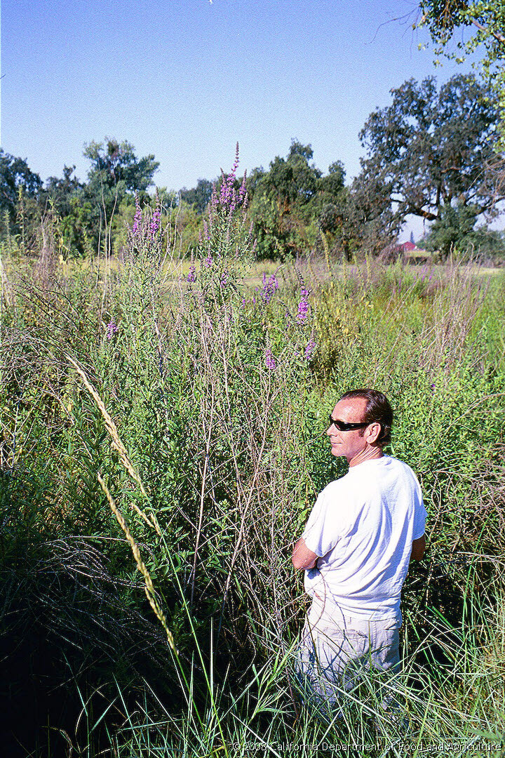 Original size: 720 x 1,080 in 1.452 MB
This image: 720 x 1080 in <622.893 KB
{Image.Properties.Date} {Image.Properties.Time}