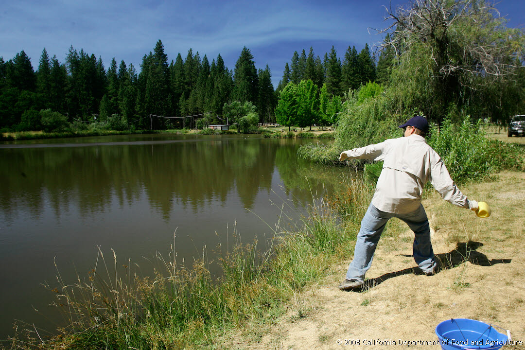 Original size: 1,080 x 720 in 0.953 MB
This image: 1080 x 720 in <269.977 KB
Tuesday, July 11, 2006 3:37:02 PM