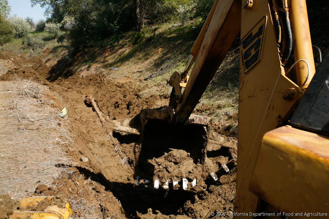 Original size: 1,080 x 720 in 0.926 MB
This image: 1080 x 720 in <268.542 KB
Tuesday, April 01, 2008 10:51:20 AM