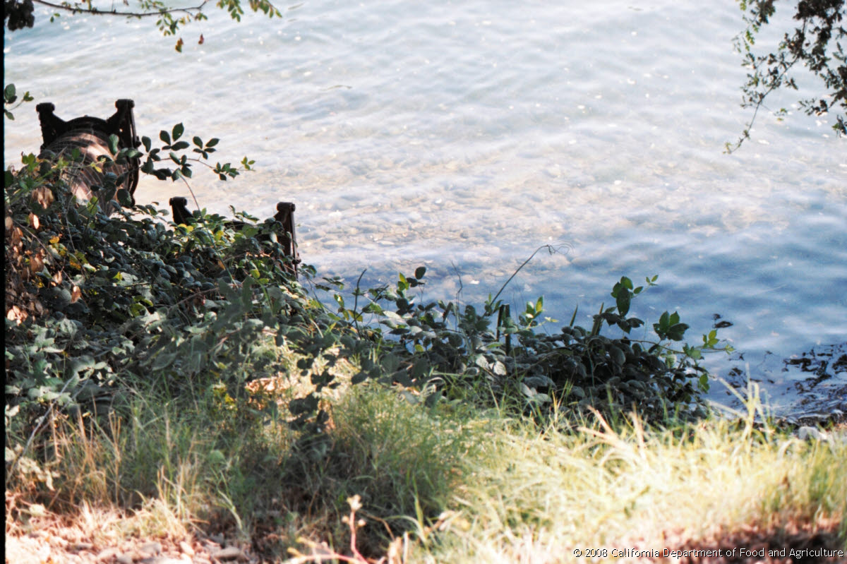 Original size: 1,576 x 1,050 in 0.932 MB
This image: 1200 x 799 in <219.448 KB
{Image.Properties.Date} {Image.Properties.Time}