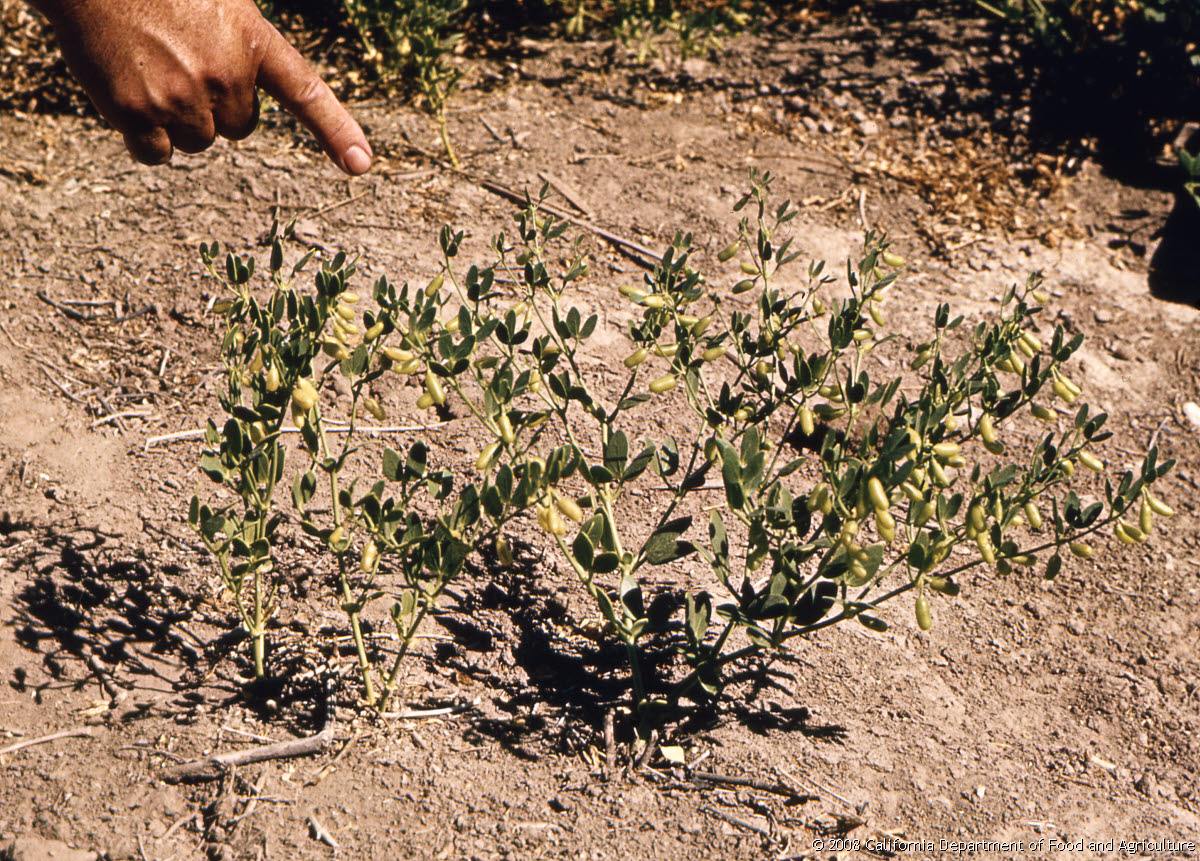 Original size: 2,888 x 2,072 in 17.122 MB
This image: 1200 x 861 in <514.257 KB
{Image.Properties.Date} {Image.Properties.Time}