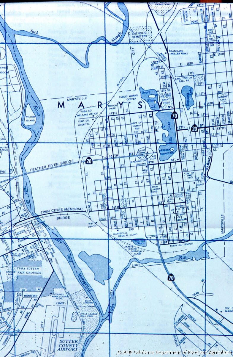 Original size: 816 x 1,248 in 0.758 MB
This image: 785 x 1200 in <306.968 KB
{Image.Properties.Date} {Image.Properties.Time}