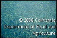 Original size: 192 x 128 in 0.018 MB
This image: 192 x 128 in <14.618 KB
{Image.Properties.Date} {Image.Properties.Time}