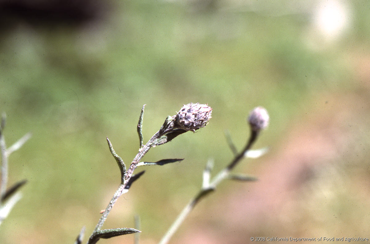 Original size: 3,095 x 2,040 in 18.065 MB
This image: 1200 x 791 in <117.898 KB
{Image.Properties.Date} {Image.Properties.Time}