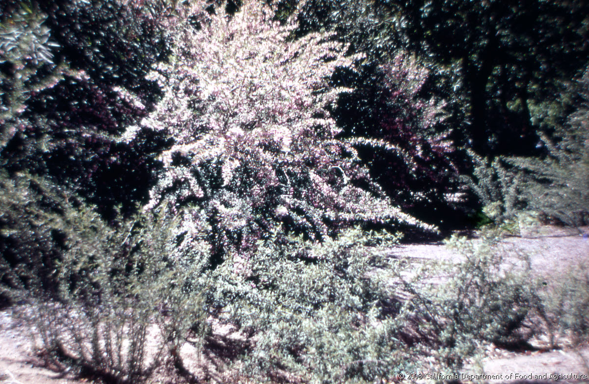 Original size: 3,167 x 2,064 in 18.703 MB
This image: 1200 x 782 in <404.152 KB
{Image.Properties.Date} {Image.Properties.Time}