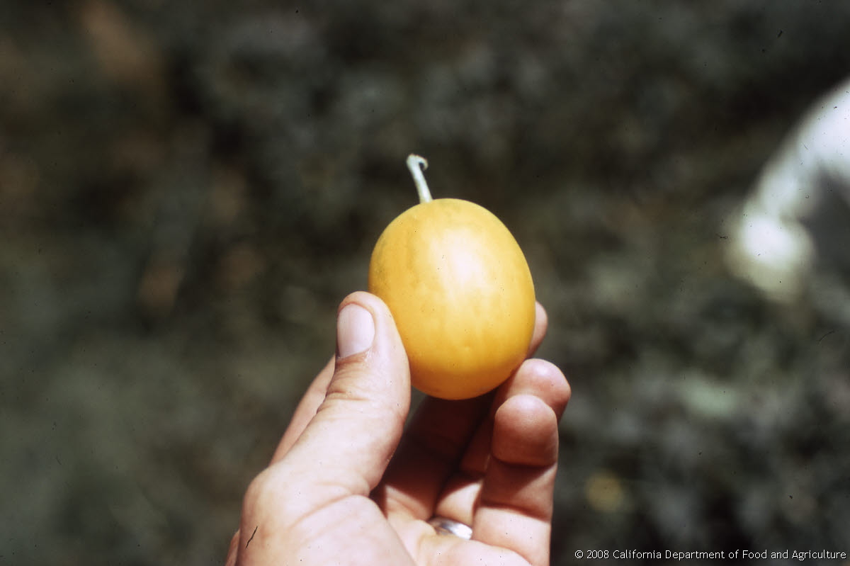 Original size: 3,088 x 2,056 in 18.166 MB
This image: 1200 x 799 in <67.141 KB
{Image.Properties.Date} {Image.Properties.Time}