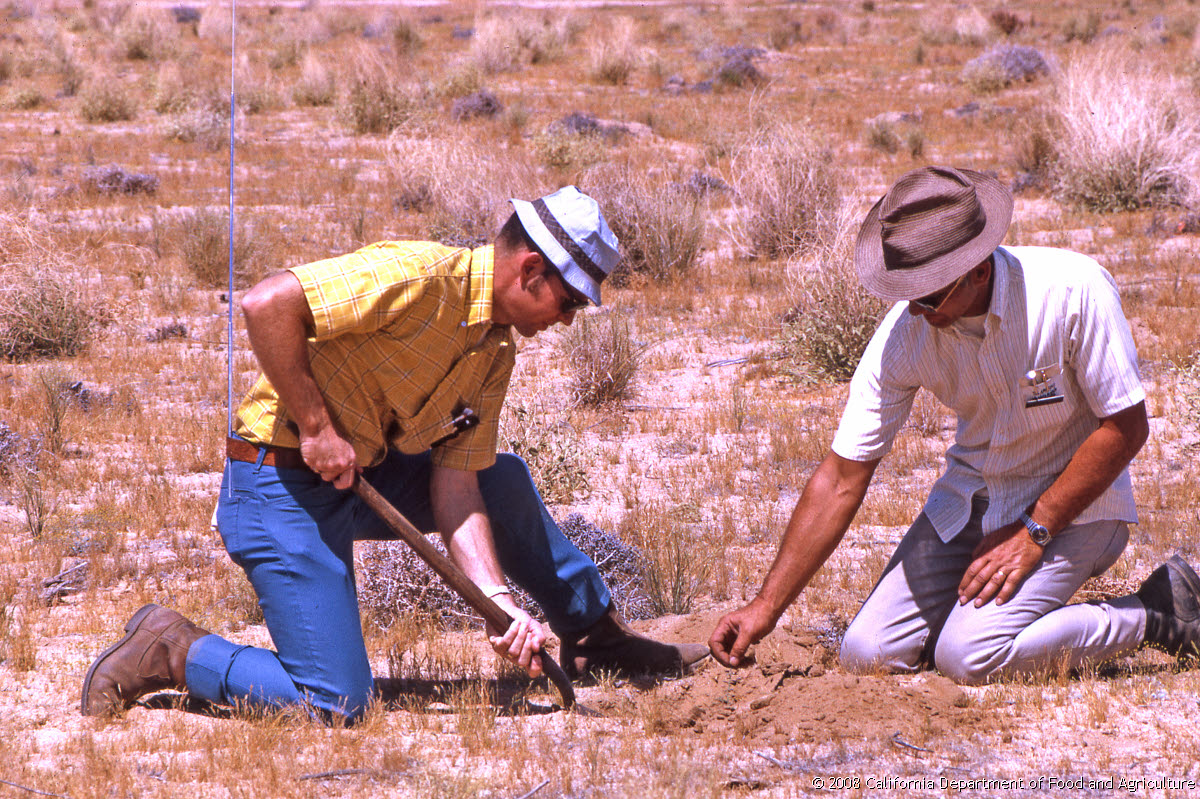 Original size: 3,088 x 2,056 in 18.181 MB
This image: 1200 x 799 in <420.523 KB
{Image.Properties.Date} {Image.Properties.Time}