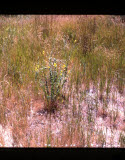 Select an image to enlarge