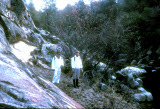 Select an image to enlarge