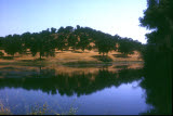 Select an image to enlarge
