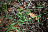 Select an image to enlarge