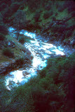 Select an image to enlarge