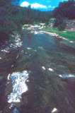 Select an image to enlarge