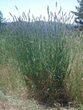 Select an image to enlarge