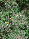 Select an image to enlarge