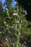 Select an image to enlarge