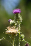 Select an image to enlarge