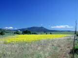 Select an image to enlarge