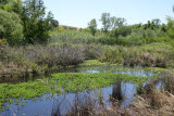 Select an image to enlarge