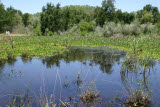Select an image to enlarge
