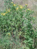 Select an image to enlarge
