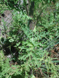 Select an image to enlarge