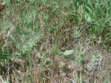 Select an image to enlarge