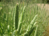 Select an image to enlarge