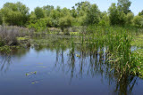 Select an image to enlarge