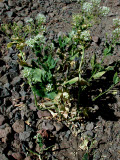 Select an image to enlarge