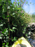 Select an image to enlarge