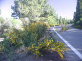 Select an image to enlarge