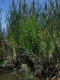Select an image to enlarge