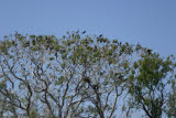 Select an image to enlarge