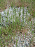 Select an image to enlarge