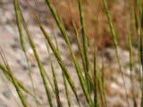 Select an image to enlarge