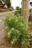 Select an image to enlarge