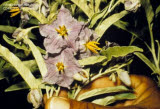 Select an image to enlarge