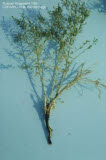 Select an image to enlarge