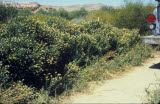 Select an image to enlarge