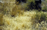 Select an image to enlarge