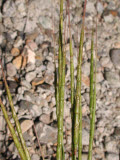Select an image to enlarge