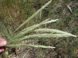 Select an image to enlarge