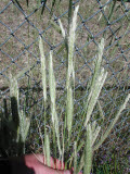 Select an image to enlarge